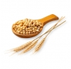 Фітокератини пшениці та сої