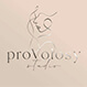 ProVolosy studio